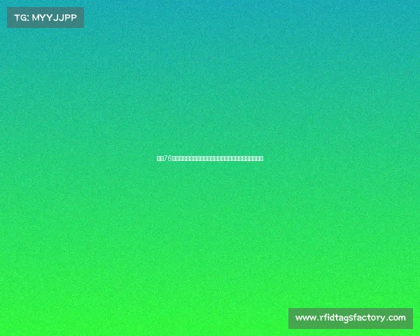 费城76人新赛季展望：年轻力量崛起与老将经验融合挑战冠军之路