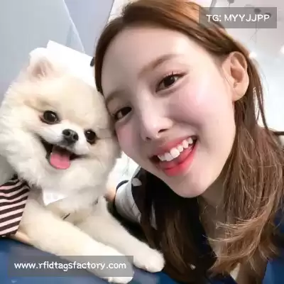 邬女韶